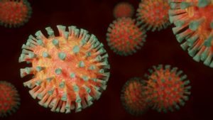 Virus Infektionen