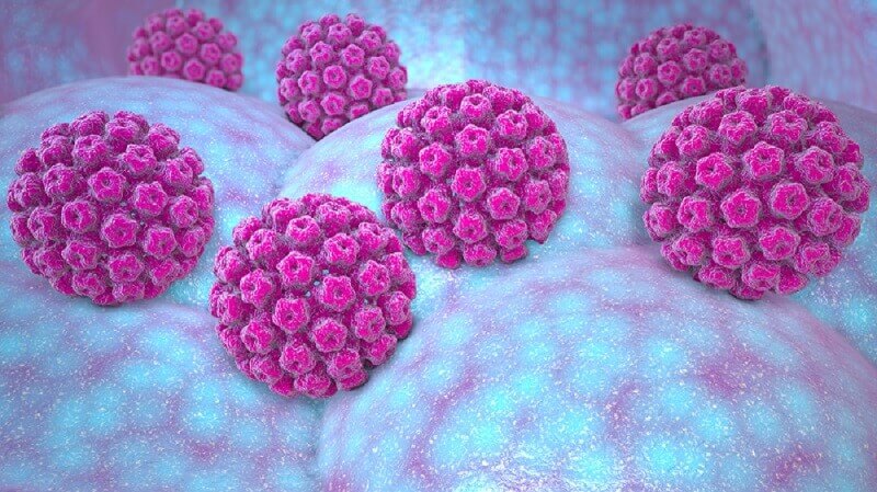 Man wie hpv viren bekommt Humane Papillomaviren