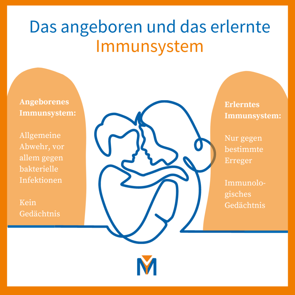 Angeborenes und erlerntes Immunsystem