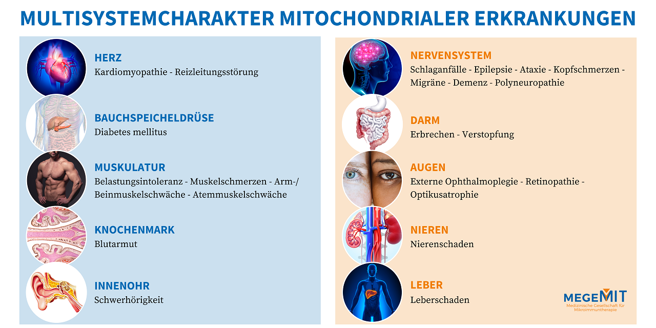 Arten und Symptome von mitochondrialen Erkrankungen