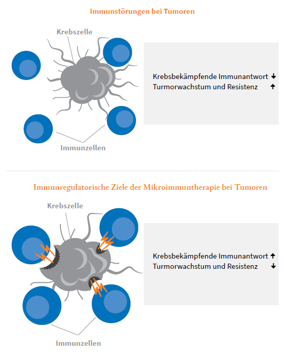 Krebszellen Immunzellen