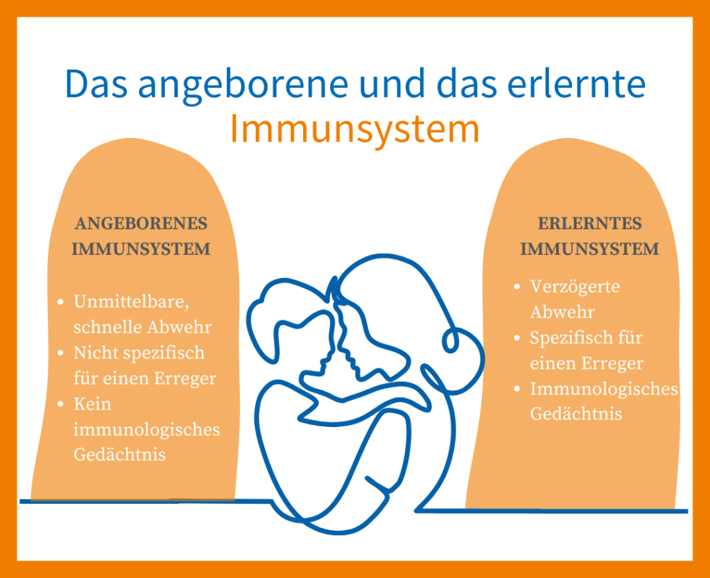 Angeborenes und erlerntes Immunsystem