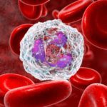 Immuntherapie: Der Vergleich