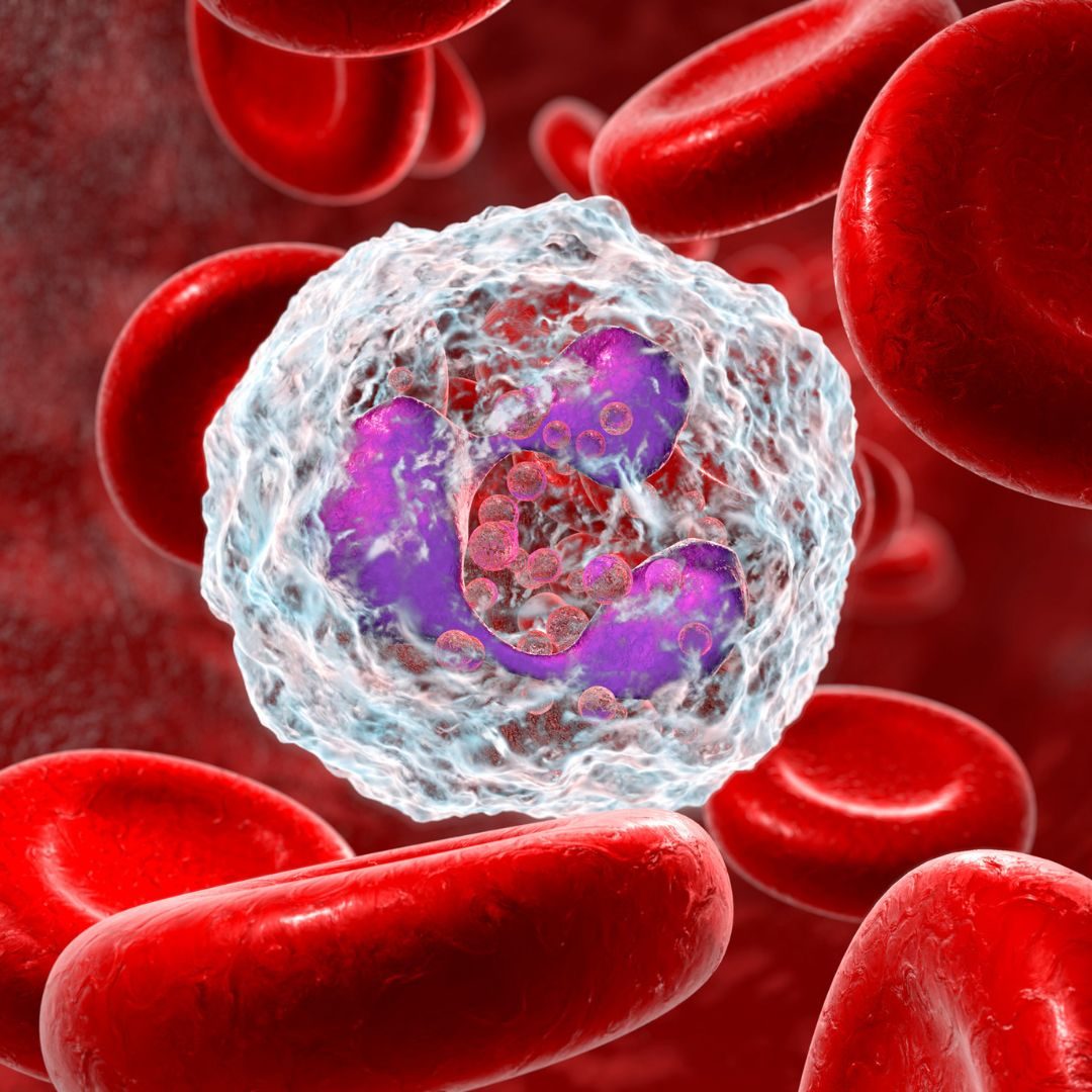 Immuntherapie: Der Vergleich